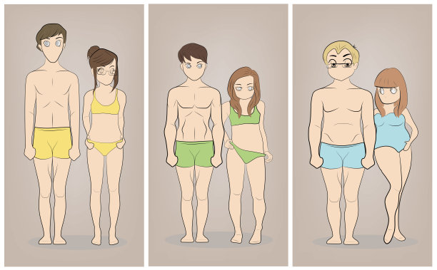 男性和女性体型:外型，中型和内型。瘦的，肌肉发达的和肥胖的体型。健身和健康说明。图片下载
