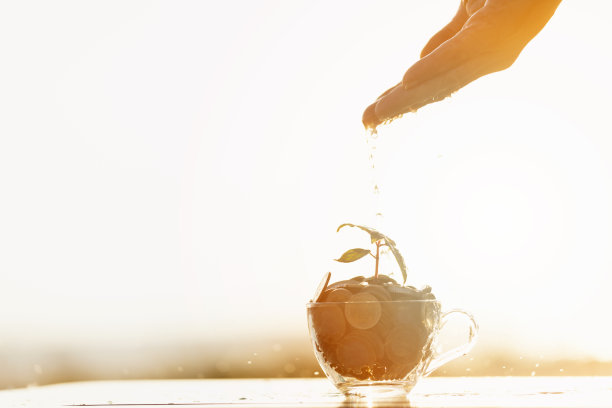 金融增长和储蓄概念图片下载