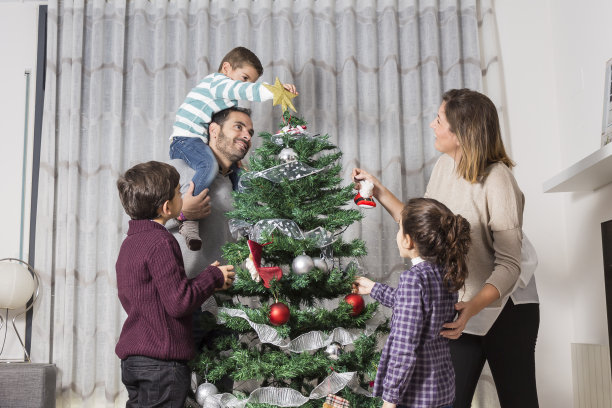 家庭装饰圣诞树图片下载