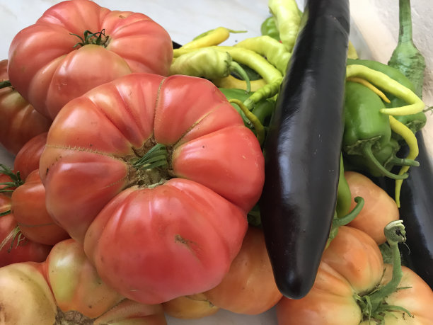 有机蔬菜图片下载