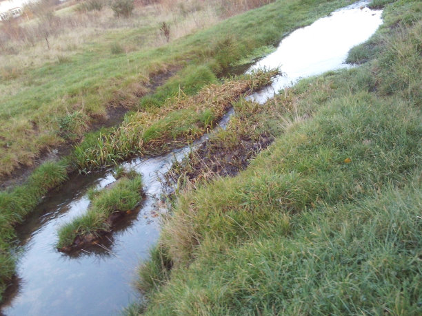 夜幕降临。图片下载