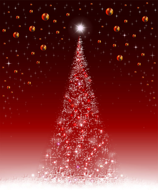 圣诞红背景云杉图片下载