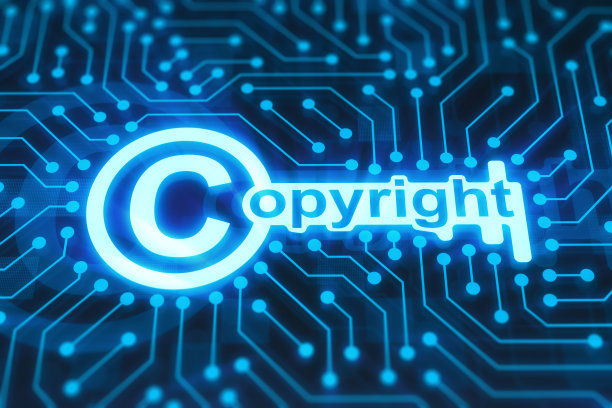 知识产权照片素材ID：303328416