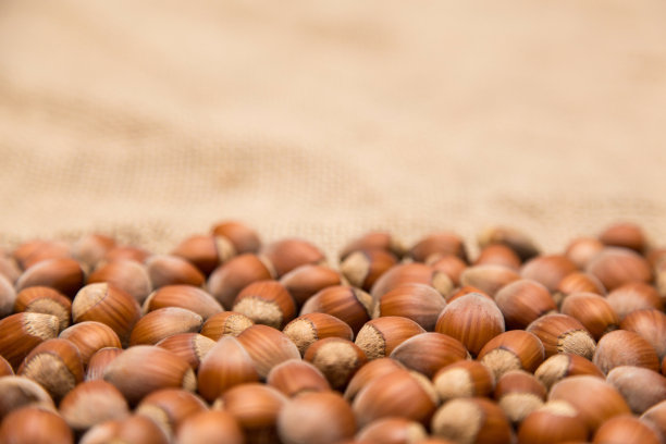 一些榛子在黄麻纤维织物上与模糊的背景。图片下载