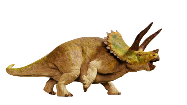 恐怖三角龙(3d渲染孤立在白色背景上)图片下载