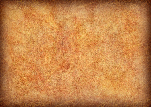 高分辨率古董动物皮羊皮纸粗糙干瘪Vignette Grunge纹理图片下载