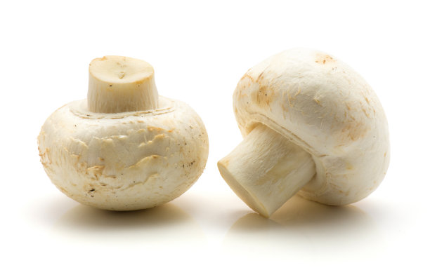 蘑菇孤立图片下载