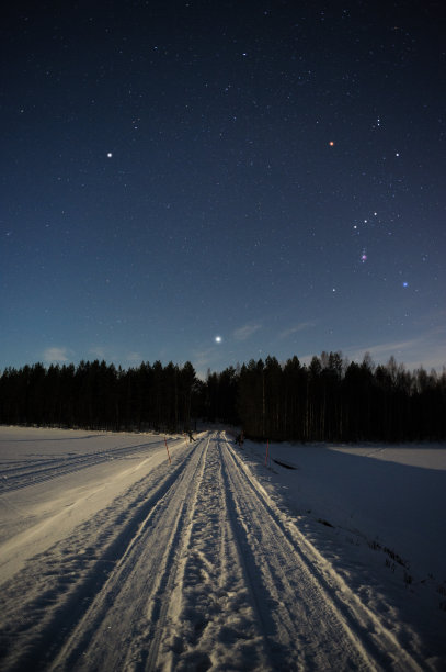 冬季森林上空的猎户座和天狼星星座图片下载