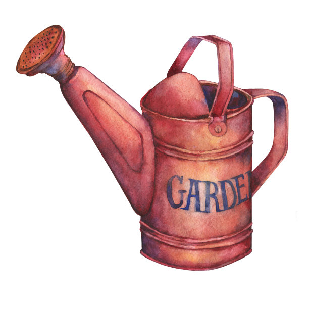 园艺工具锈红色喷壶浇花。手绘水彩画在白色的背景。图片下载
