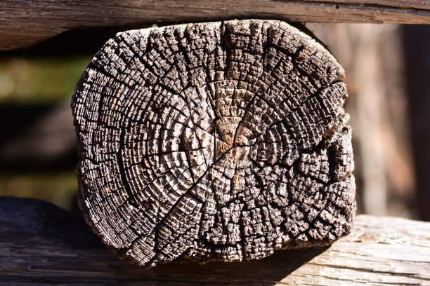 近距离观看严重风化的原木末端在乡村建筑图片下载