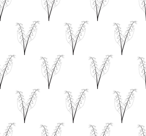 白色背景上的山谷无缝白百合图片下载