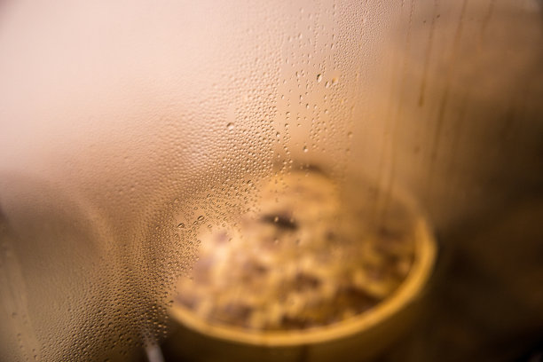 玻璃蒸饺。图片下载