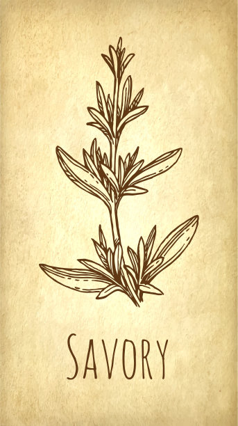 美味的墨水画。图片下载