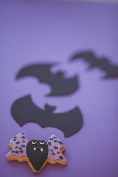 蝙蝠在飞行中图片下载