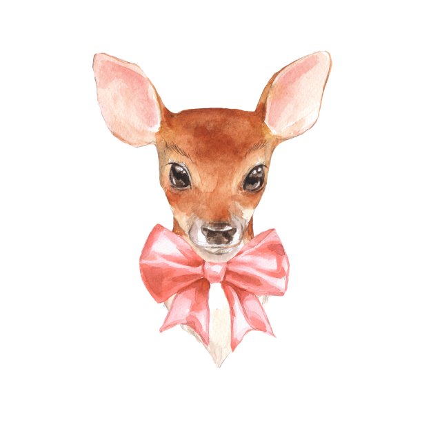 婴儿鹿。手绘可爱的小鹿图片下载