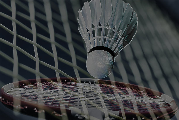 抽象的羽毛球运动图片下载