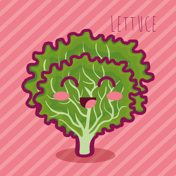 新鲜生菜蔬菜性状图片下载