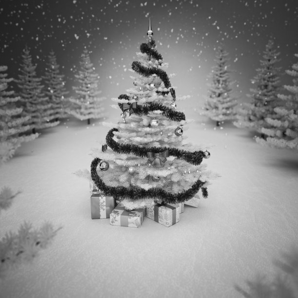 圣诞节图片下载