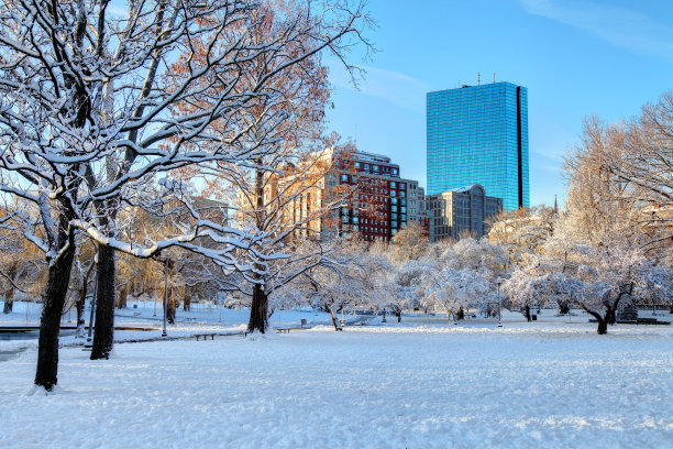 冬天在波士顿图片下载