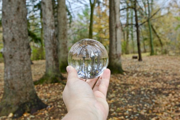 落叶与水晶球图片下载