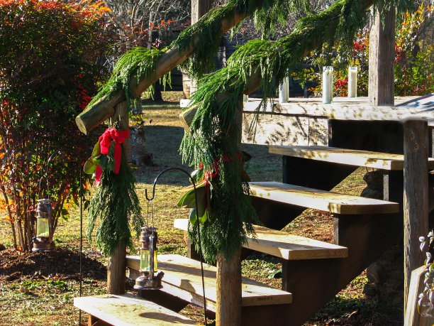 圣诞节的国家欢迎图片下载