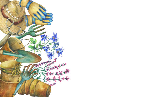 边框有园艺工具，太阳帽，手套，陶土花盆和花。铲、耙、干草叉。水彩手绘插图，孤立的白色背景。图片下载