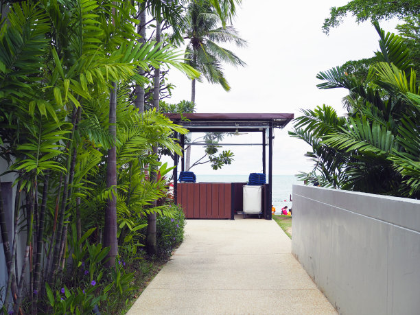 一条通往有绿色植物的海滩的人行道。图片下载