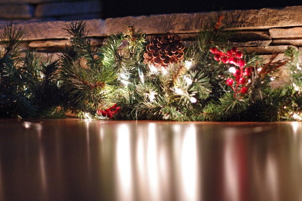 冬青和花环灯图片下载