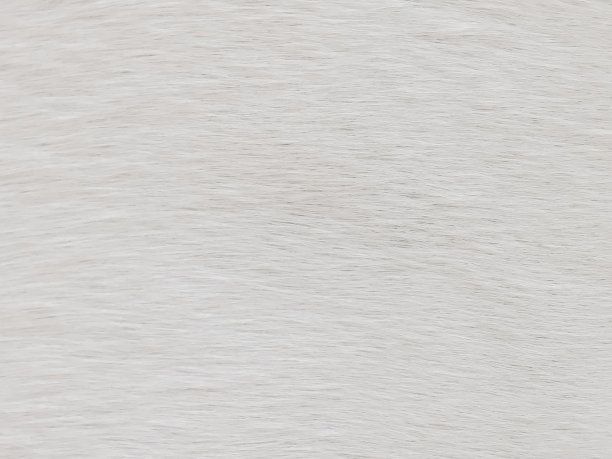 白牛皮纹理皮革素材图片