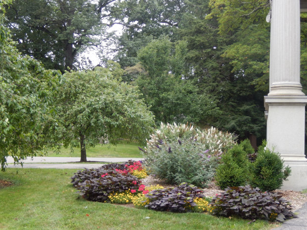 鲜花和列图片下载