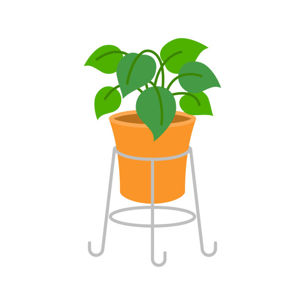 载体观赏植物，平面设计图片下载