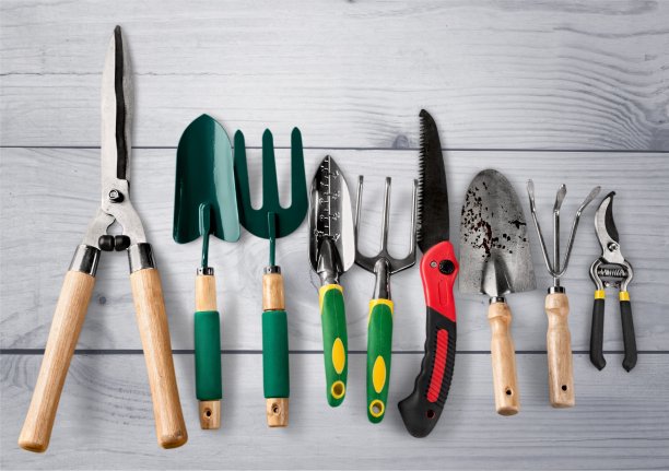 园艺。图片下载