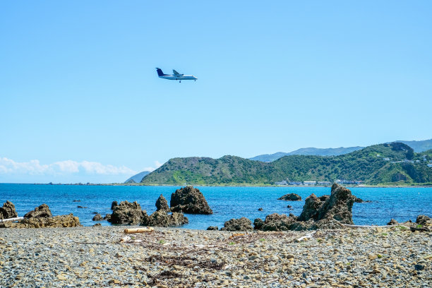 飞机飞过惠灵顿湾图片下载