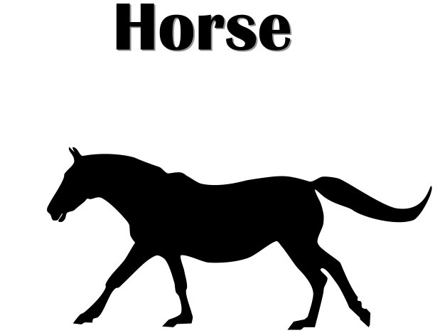 马奔跑的黑色剪影图片下载