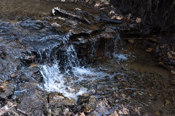野生的天然小溪。图片下载