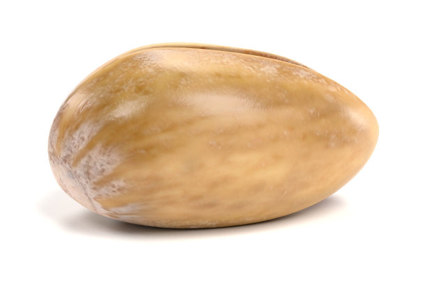 阿月浑子果图片下载