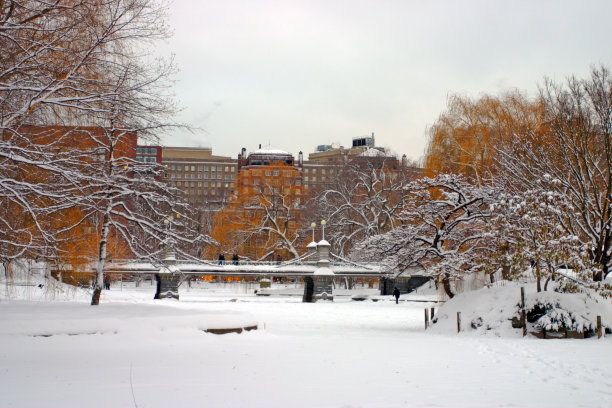 波士顿冬季图片下载