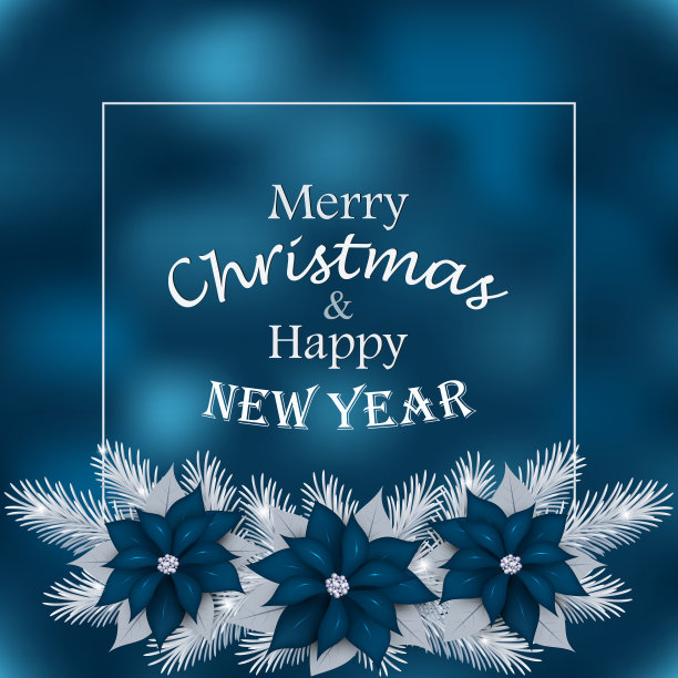 有冷杉树枝和蓝色一品红的圣诞卡图片下载