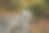 秋天山涧图片下载
