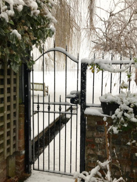 雪覆盖了地面、树木和户外家具图片下载