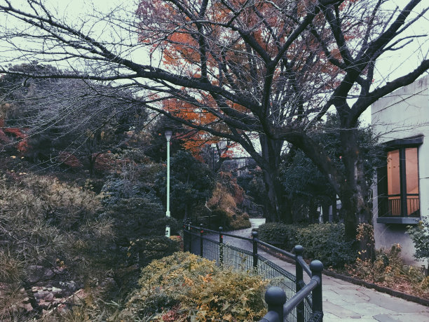 初冬的日本花园图片下载