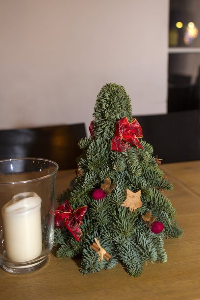 小圣诞树图片下载