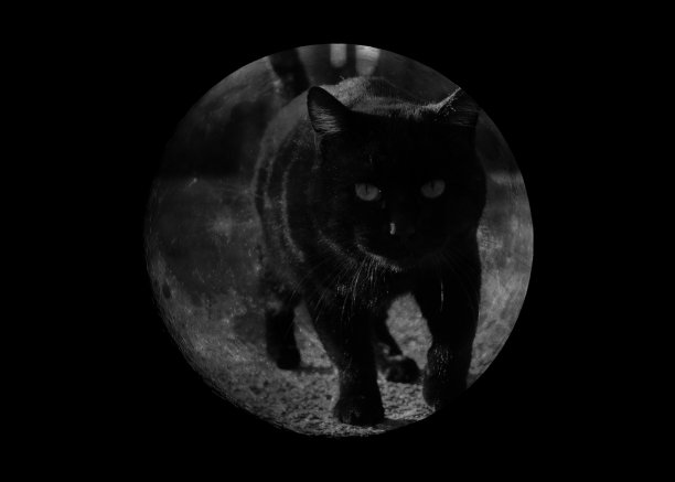 月亮上的黑猫图片下载