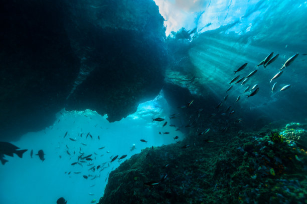 在印度尼西亚摩鹿加岛和西巴布亚岛之间的Boo Window的阳光下游泳图片下载