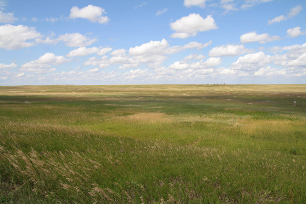 草原上湛蓝的天空图片下载