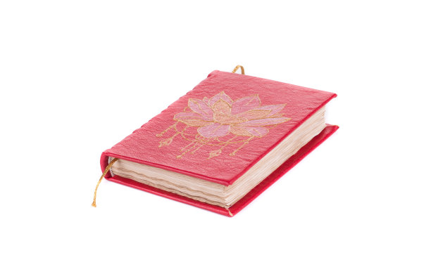 带有复古封面的日记。图片下载