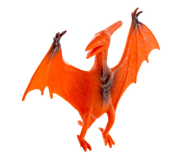 翼龙恐龙玩具孤立在白色背景，与剪切路径图片下载