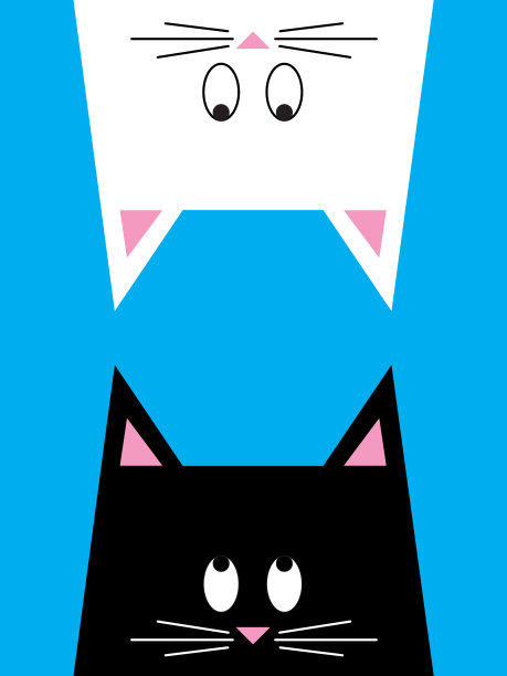 两只猫互相看着图片下载