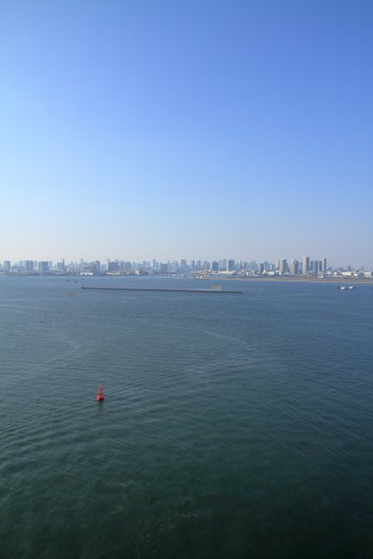 东京和东京湾的城市景观从东京门大桥在日本图片下载