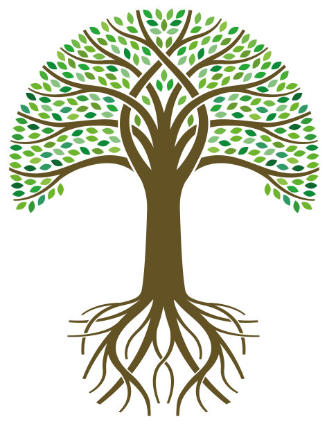 大圆树与根插图图片下载